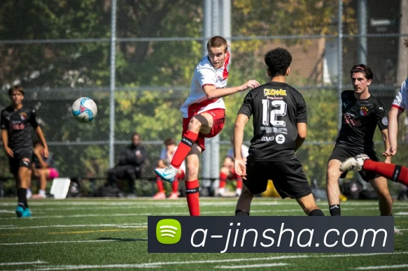 金沙官网APP 封面图